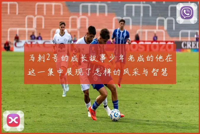 马刺2号的成长故事少年老成的他在这一集中展现了怎样的风采与智慧